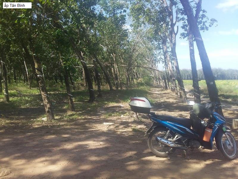 ấp Tân Bình
