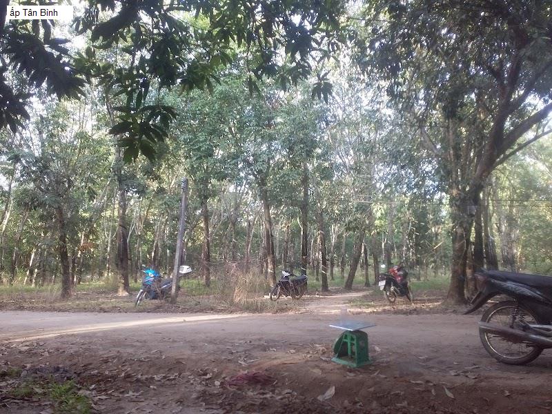 ấp Tân Bình