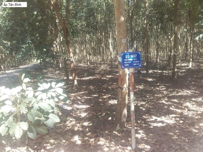 ấp Tân Bình