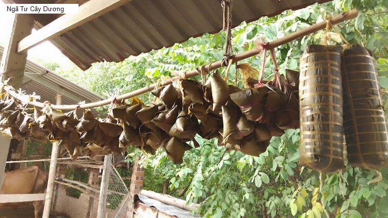 Ngã Tư Cây Dương