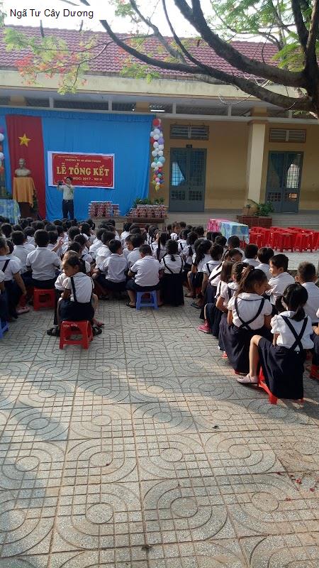 Ngã Tư Cây Dương